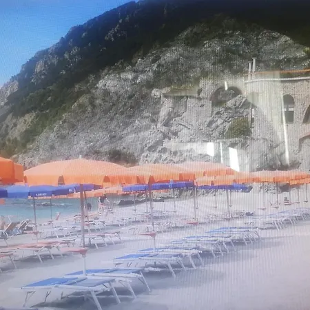 Palme Closetogigante Junior