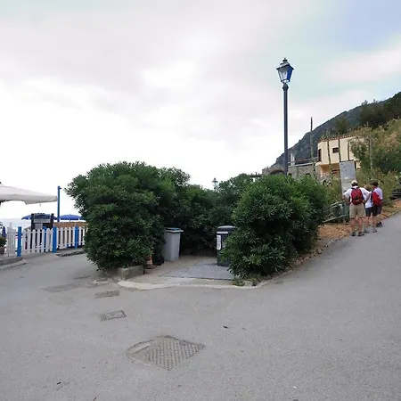 Palme Closetogigante Junior *