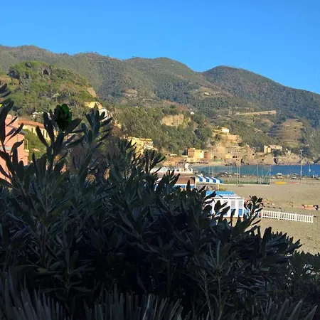 Palme Closetogigante Junior *