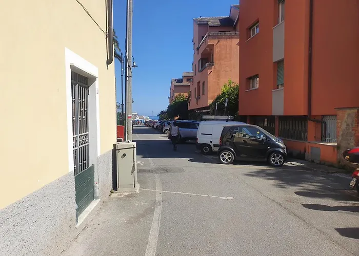 Palme Closetogigante Junior * Monterosso al Mare