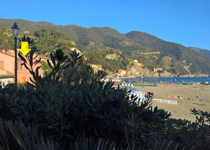 Palme Closetogigante Junior *