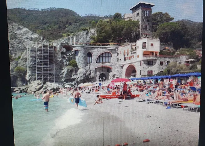 Palme Closetogigante Junior Monterosso al Mare