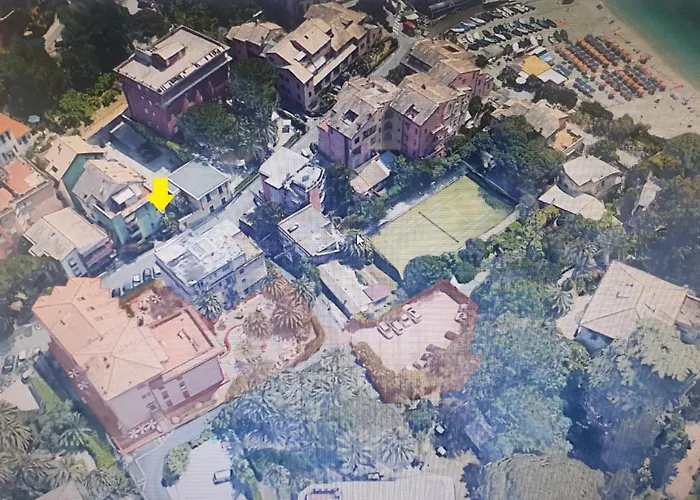 Palme Closetogigante Junior Monterosso al Mare